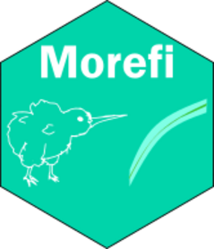 Morefi website